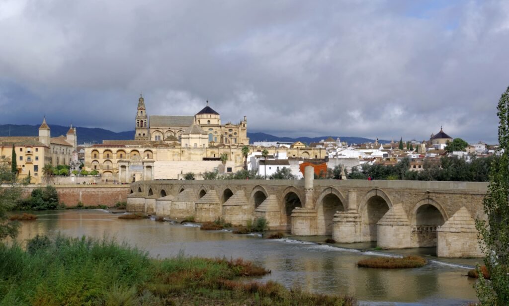 Diseño web en Córdoba