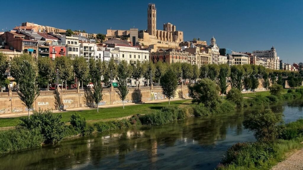 Diseño web en Lleida